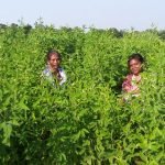 Agriculture and Natural Resource Promotion