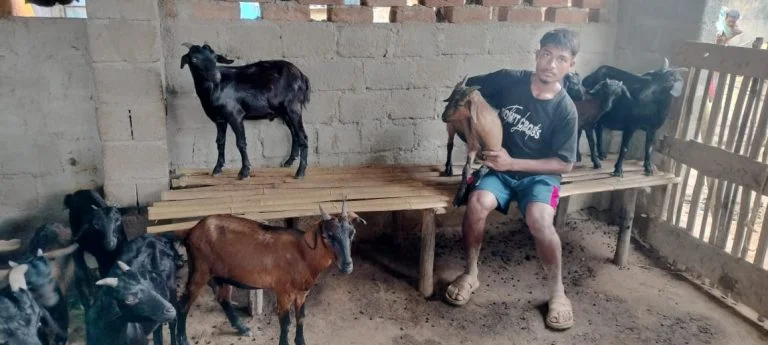 Animal Husbandry