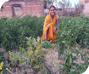 VILLAGE LEARNING CENTERS: Enabling rural children access to education during COVID lockdown