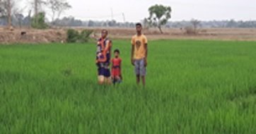 Irrigation through the help of solar water pump and its advantages